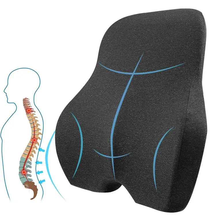 Ergonomisk ryggstödskudde för ländryggsstöd