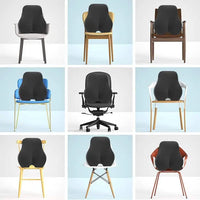 Ergonomisk ryggstödskudde för ländryggsstöd